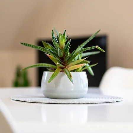 Apartment Strandhaus 3 Og Marienfelde