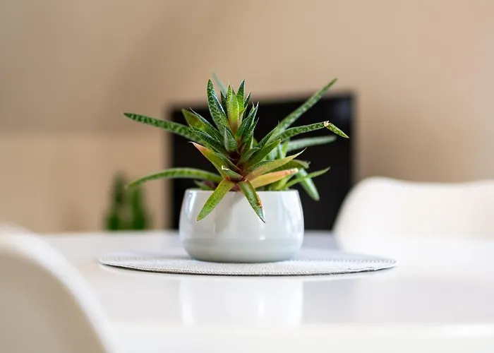 شقة Strandhaus 3 Og Marienfelde